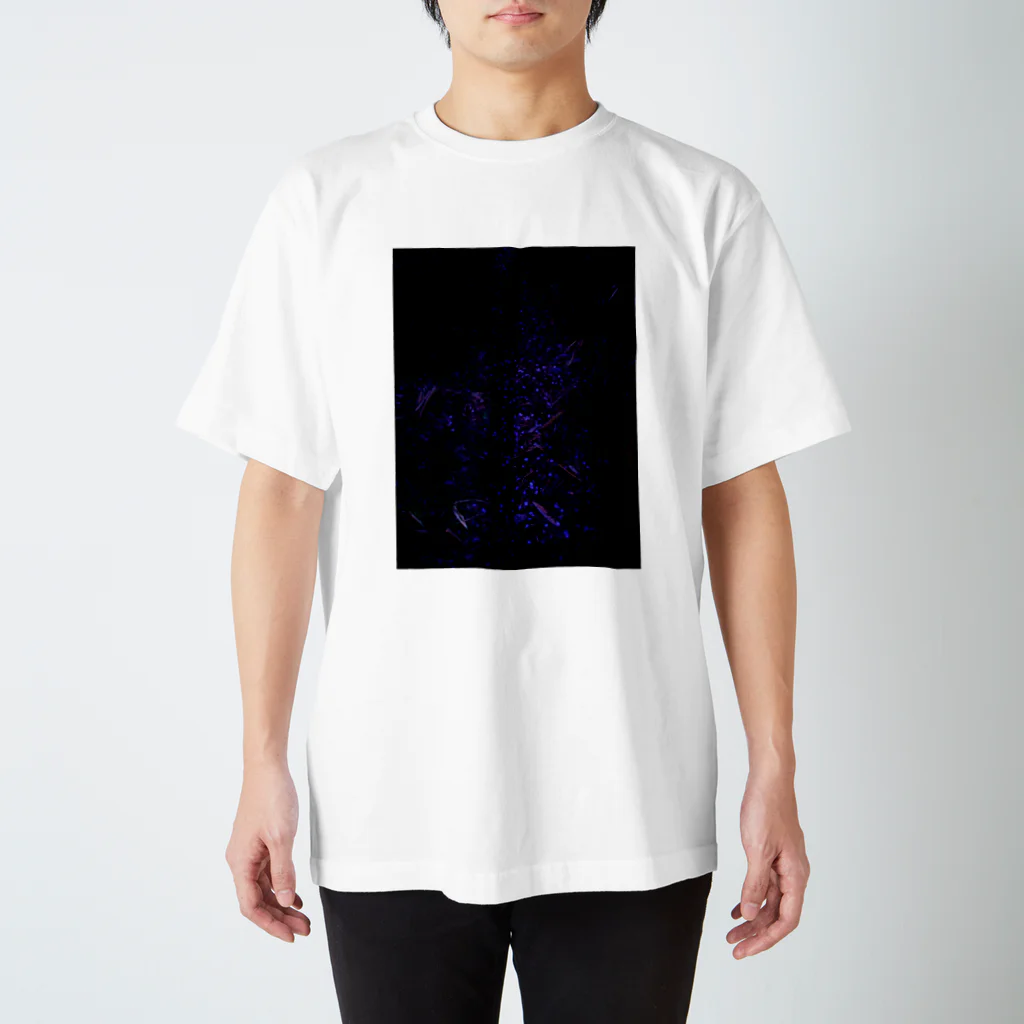 hiroki-naraの桜　サクラ　cherry blossom DATA_P_153　春　spring スタンダードTシャツ