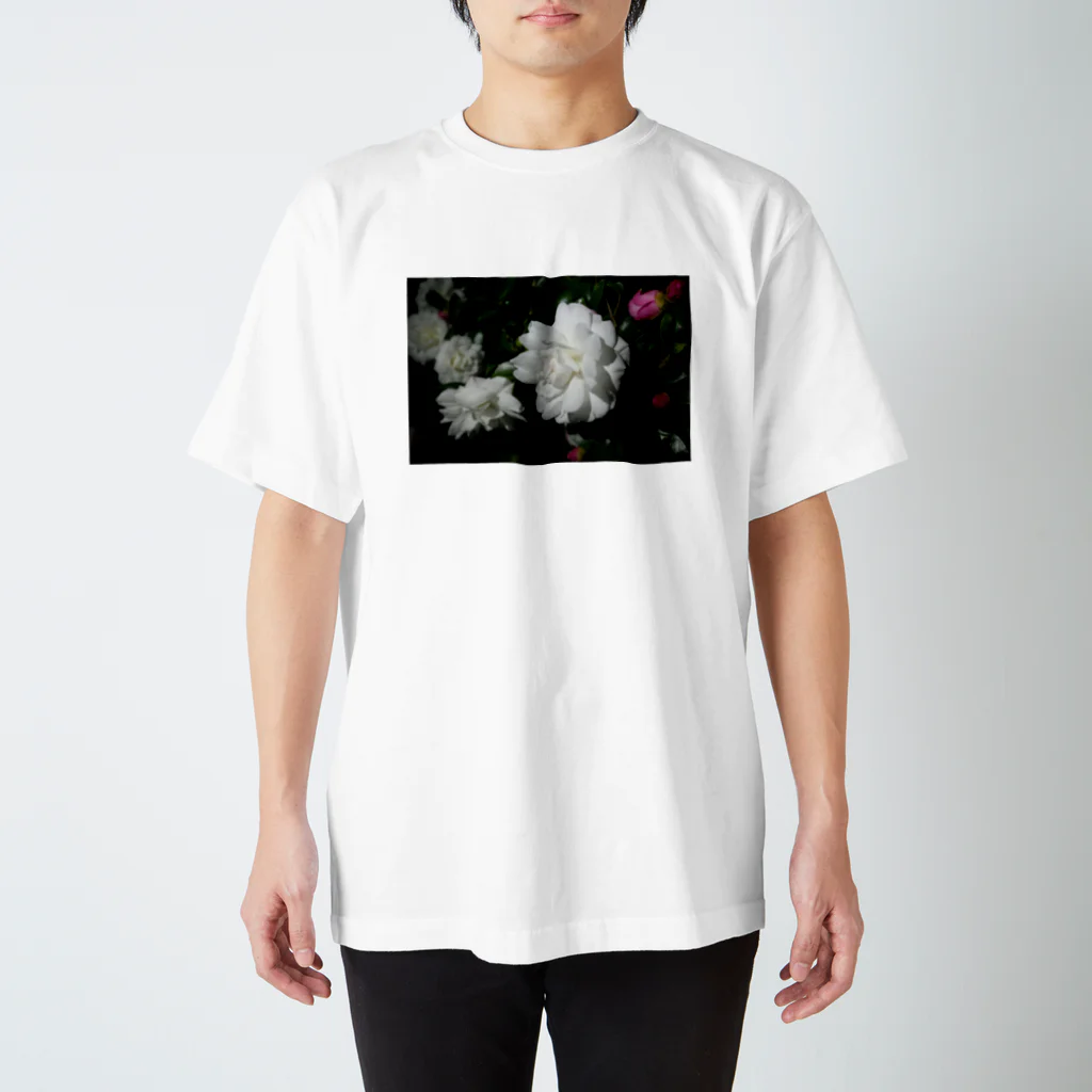 caveの白椿 Regular Fit T-Shirt