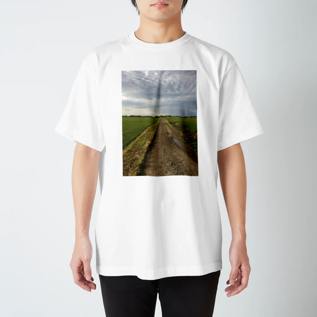 pintのPint Photo 10 スタンダードTシャツ