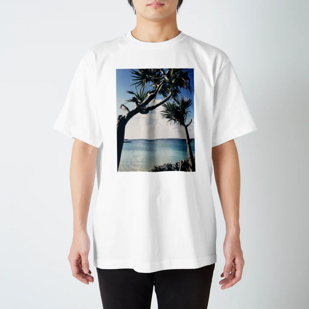 Parutaの南国の海 スタンダードTシャツ