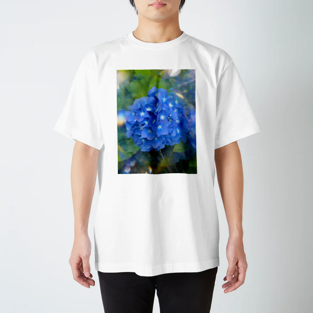 みずきち🦋ᘏ▸◂ᘏのAzisai スタンダードTシャツ