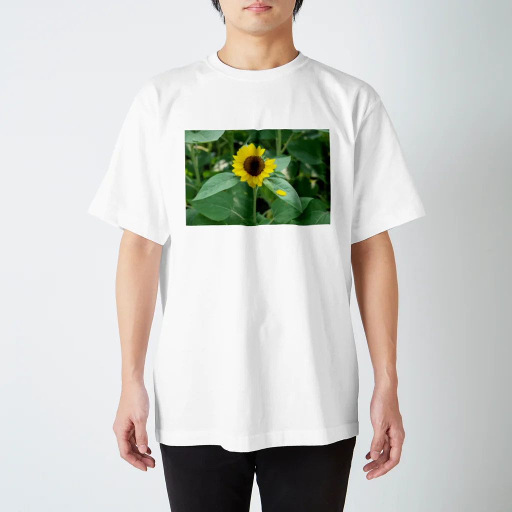 たーたの一欠けひまわり スタンダードTシャツ