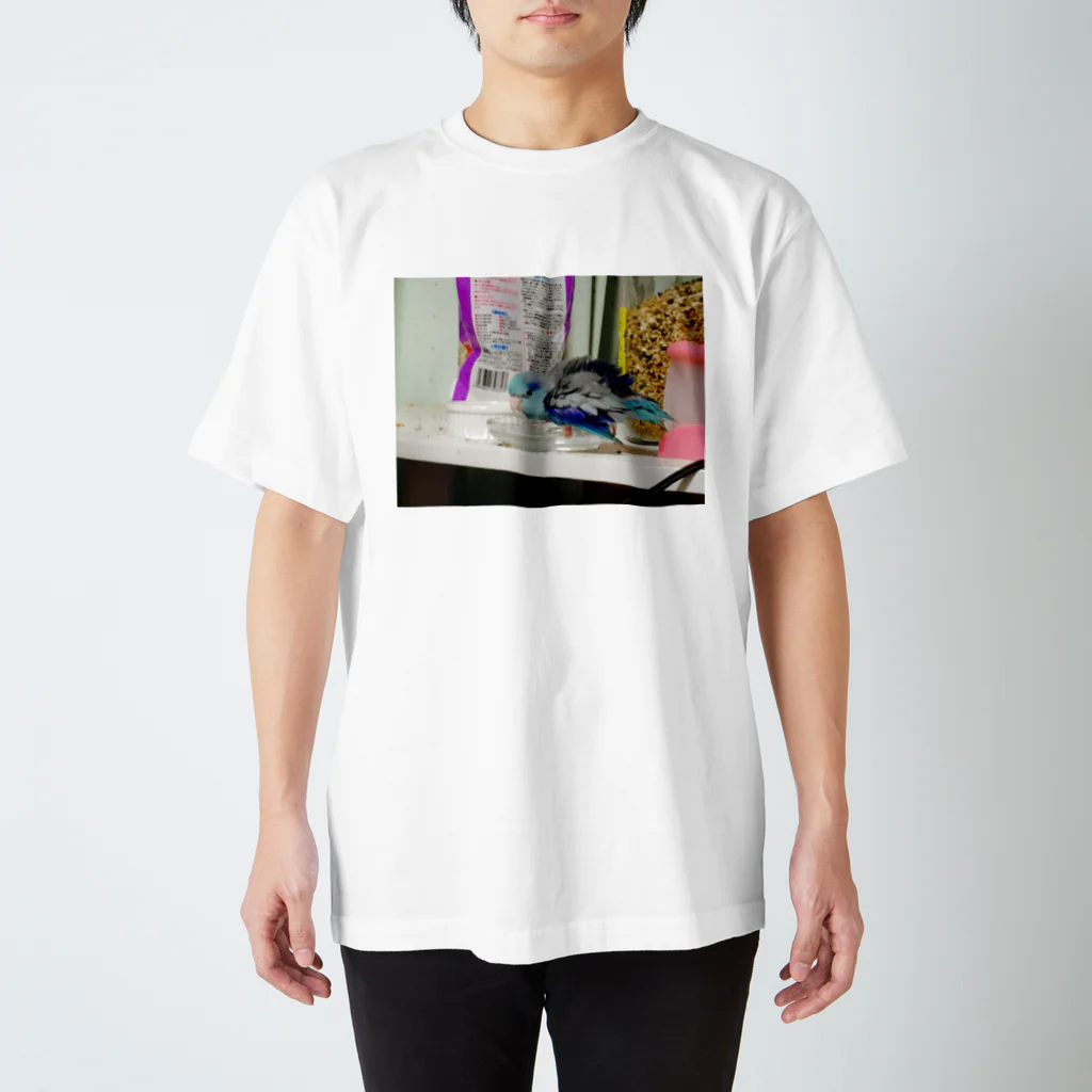 maryukoesのマメルリハインコ Regular Fit T-Shirt