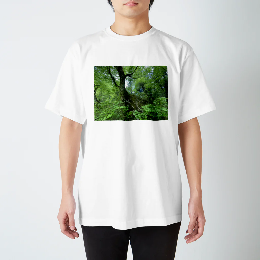 たいようデザインの森 Regular Fit T-Shirt