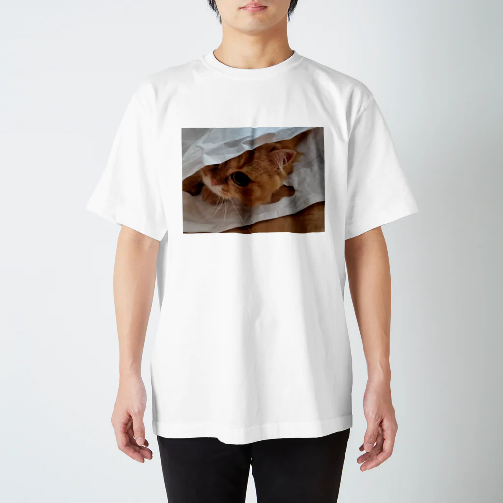 FUKUCHYAONEのかくれ猫 Regular Fit T-Shirt