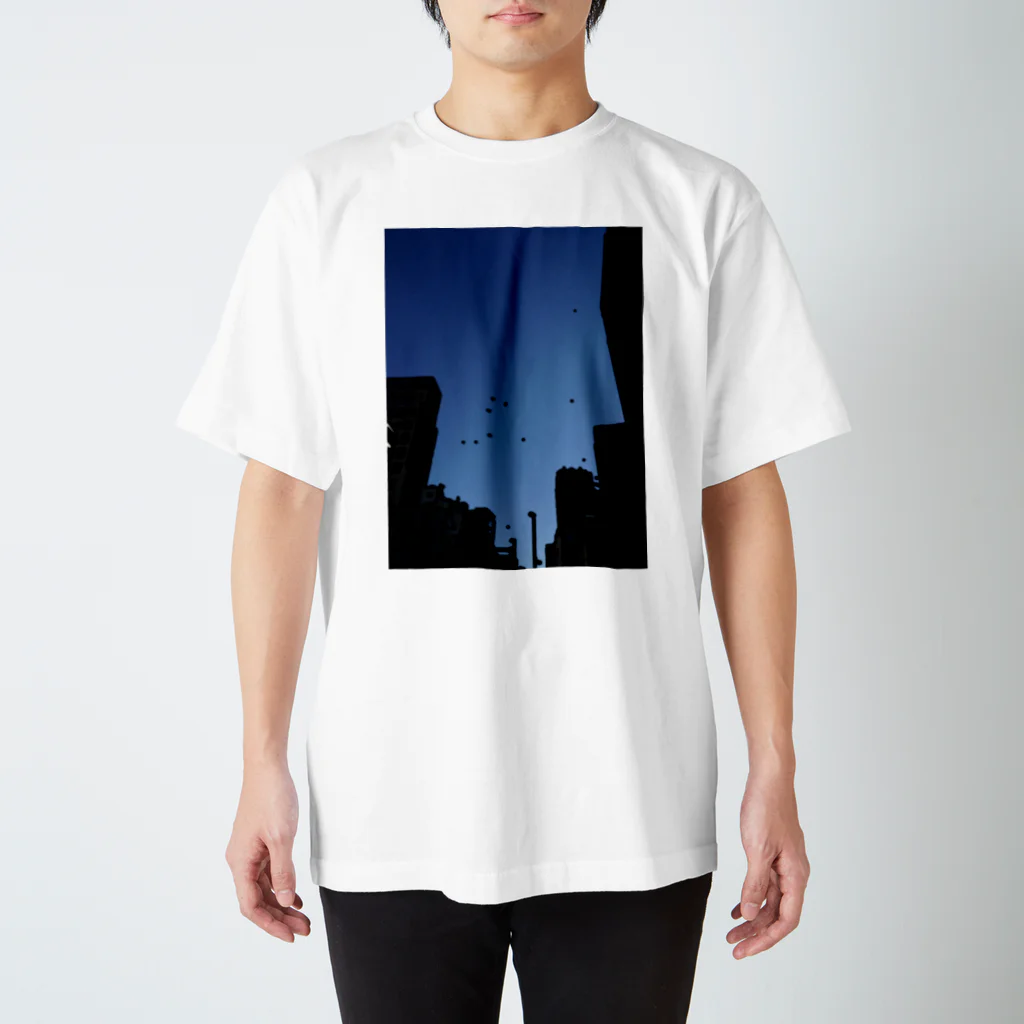 博士の学校のUFO Regular Fit T-Shirt