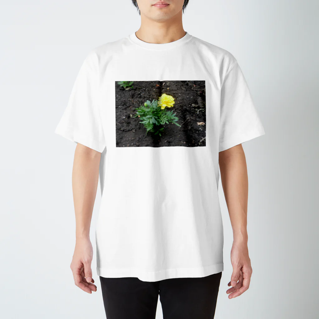 吉原教室の初夏の花壇 Regular Fit T-Shirt