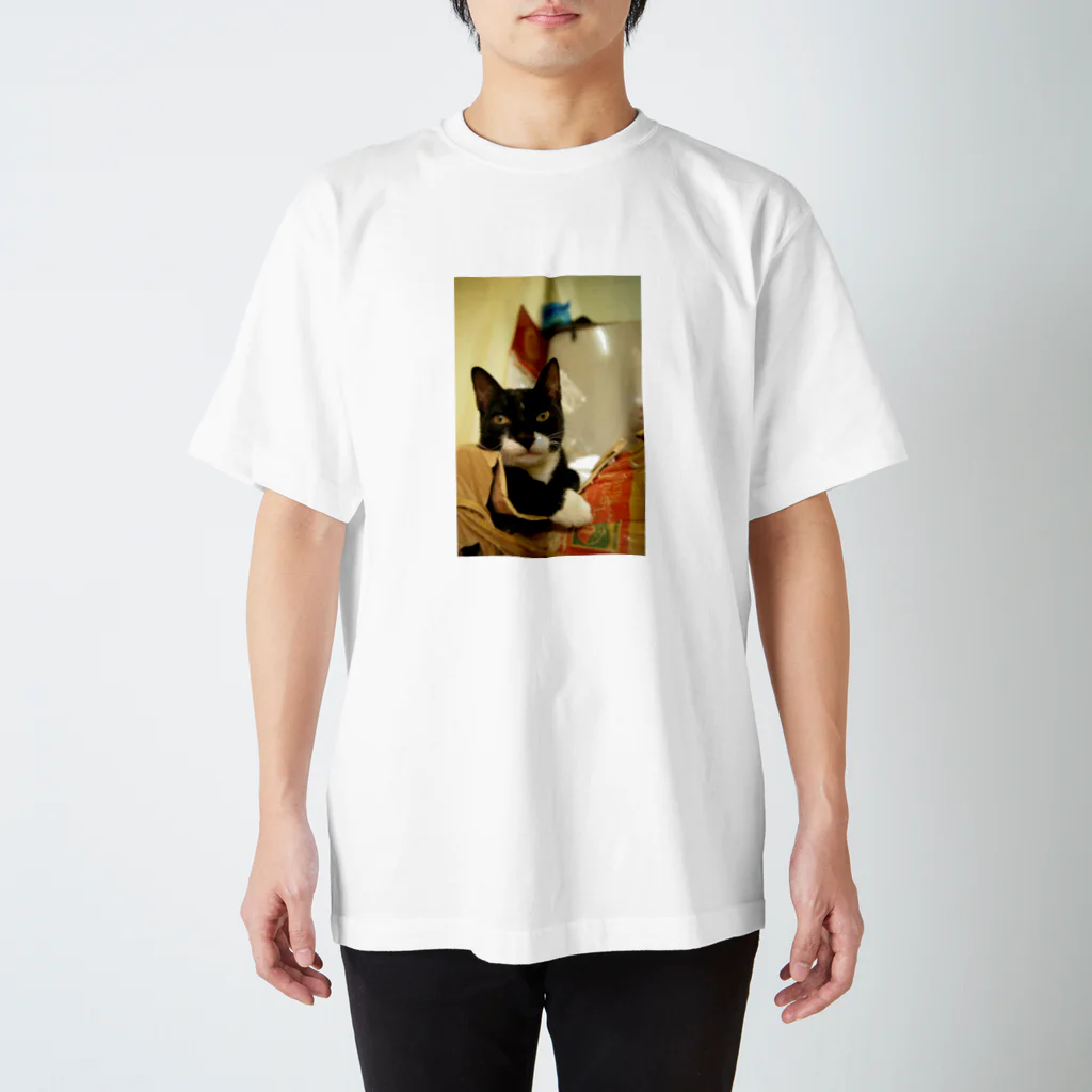 そらまめのベトナムの猫 Regular Fit T-Shirt