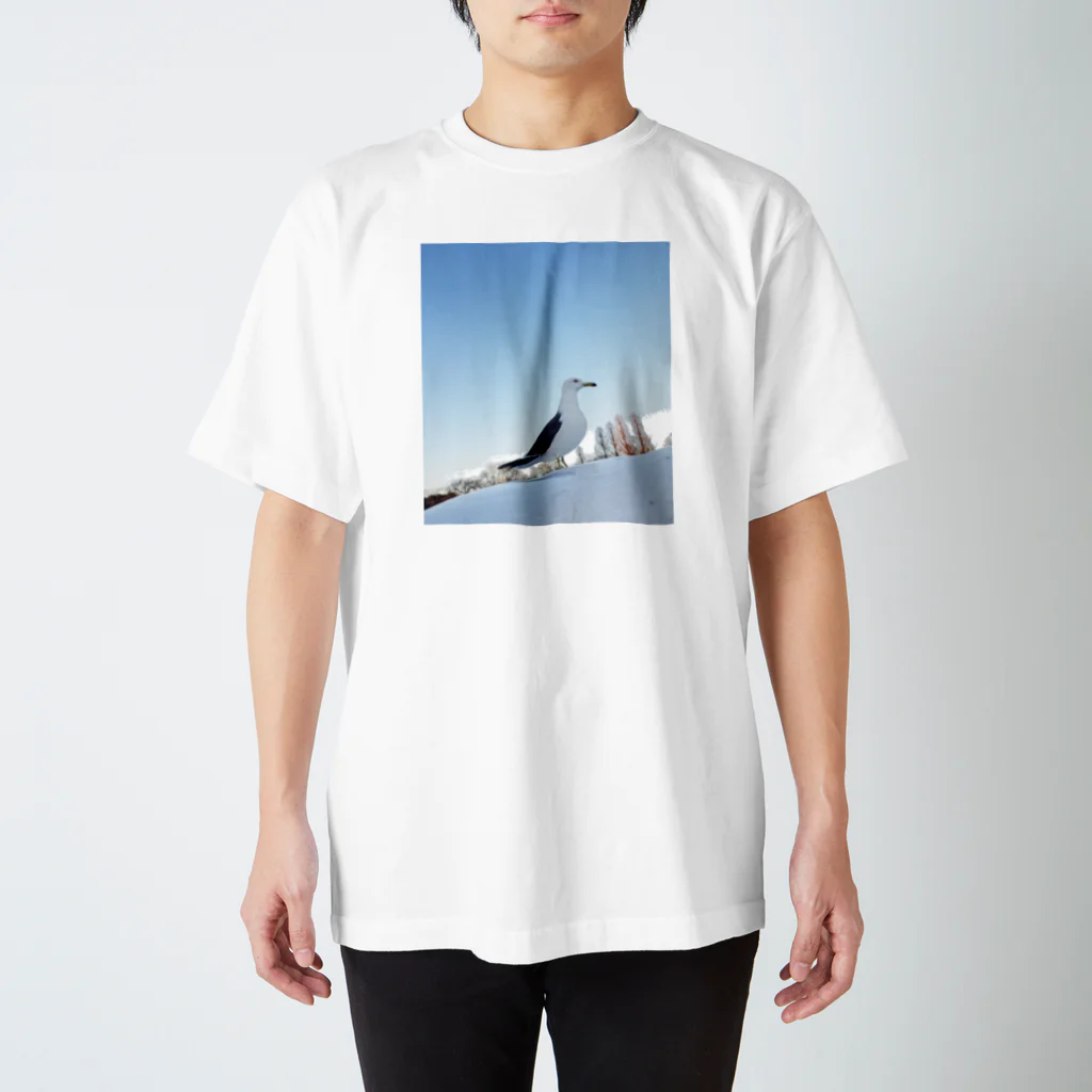 そらまめの不忍池のかもめ スタンダードTシャツ