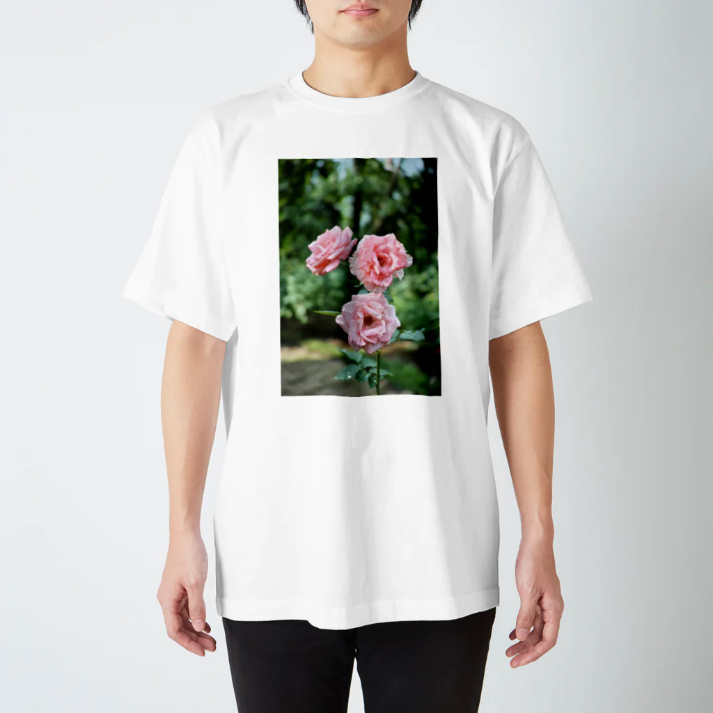 ニコフォトのちょい枯れた薔薇 スタンダードTシャツ