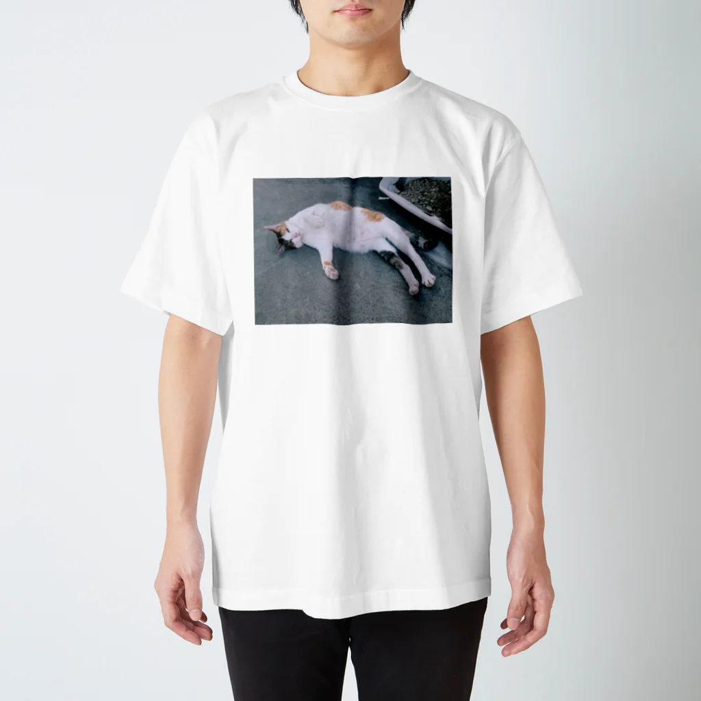 なかったことにされたくないの魔性の猫 Regular Fit T-Shirt