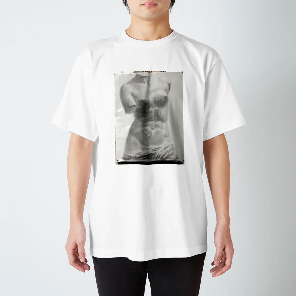 ruuu_uのヴィーナス Regular Fit T-Shirt