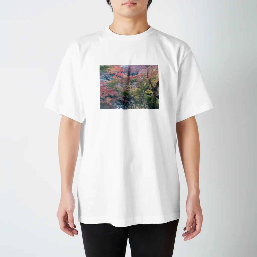 たこまりの高尾山 Regular Fit T-Shirt