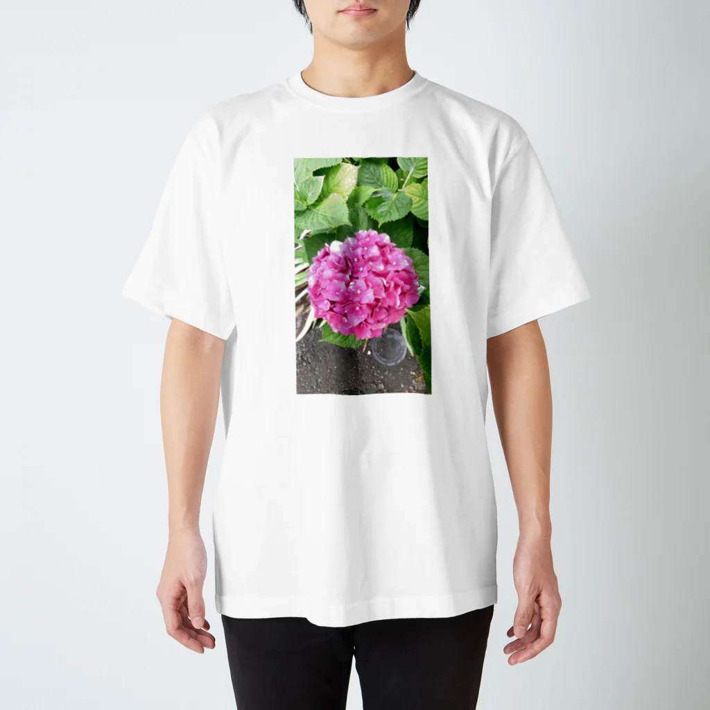 フラワーライフ💐🌹の紫陽花✨ スタンダードTシャツ