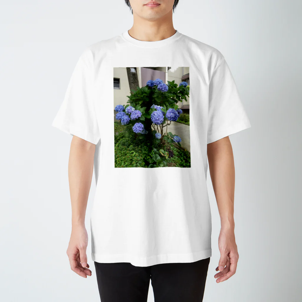 yurzukiの紫陽花 スタンダードTシャツ