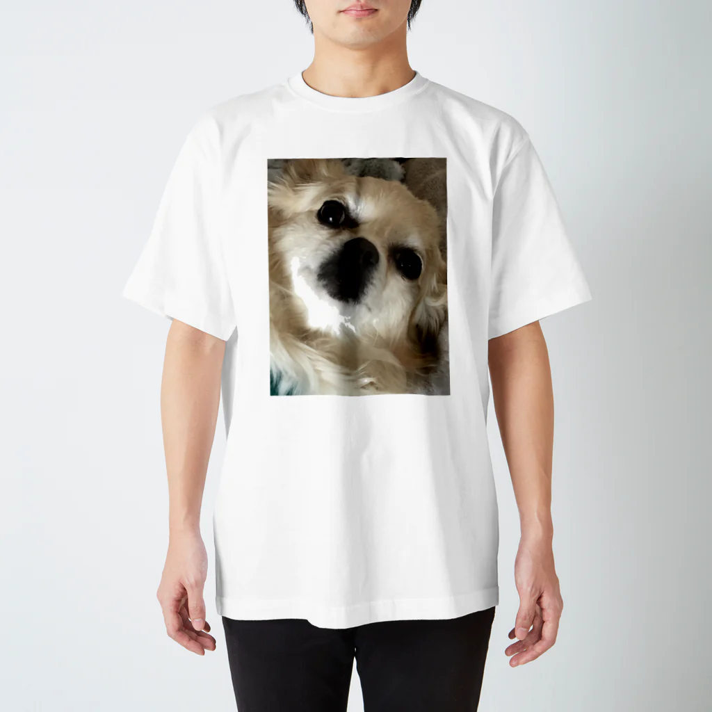 famfamの犬・動物 スタンダードTシャツ