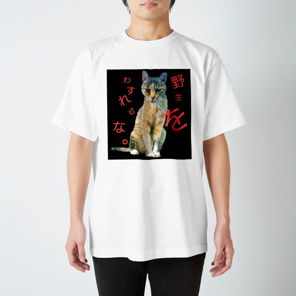 angyの散歩の途中でシリーズ 猫。 スタンダードTシャツ