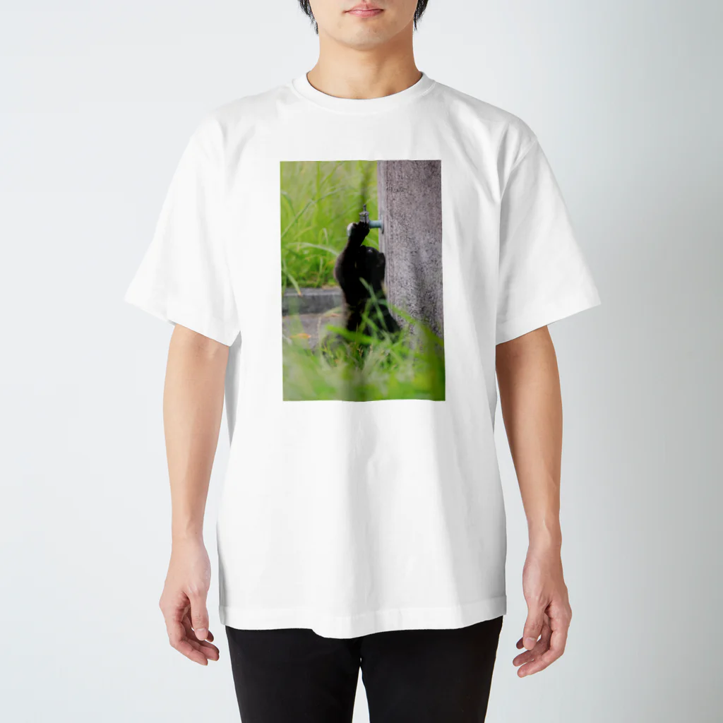 enokimaruのくろねこ Regular Fit T-Shirt