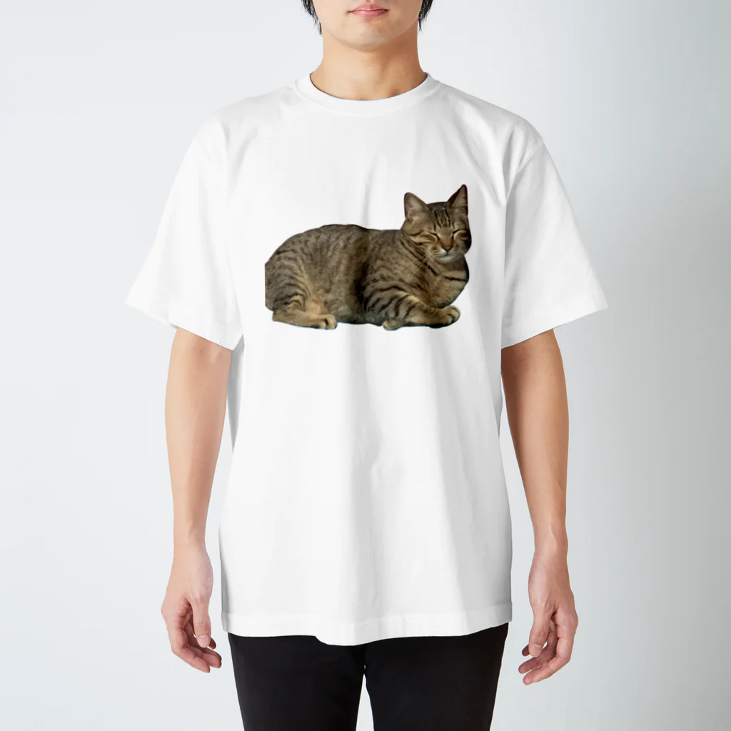 えのきの猫 Regular Fit T-Shirt