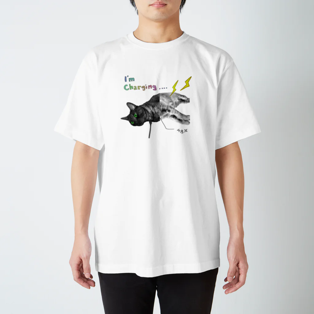 非ユークリッド幾何学を考える kodaisakanaのi'm charging.... スタンダードTシャツ