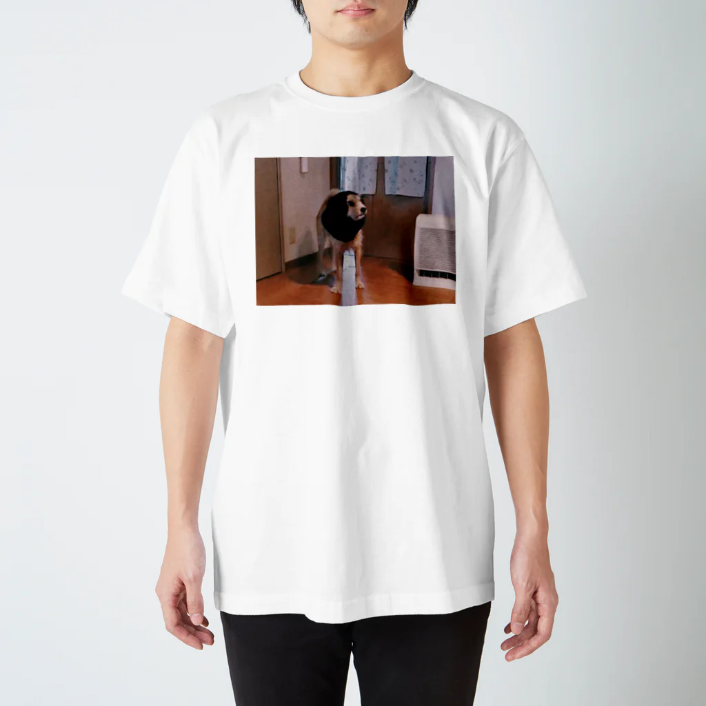 hikomaruのうちの犬02 スタンダードTシャツ