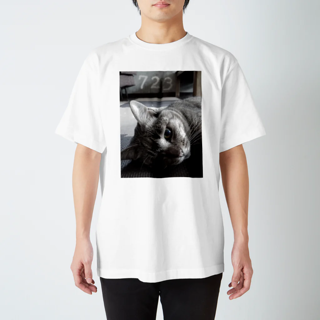 もりりんの猫Tシャツ723 スタンダードTシャツ