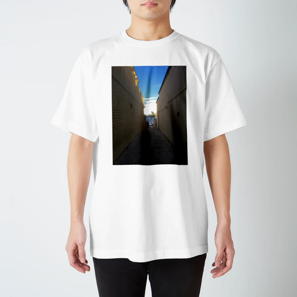 Landscape のSANDIEGO スタンダードTシャツ