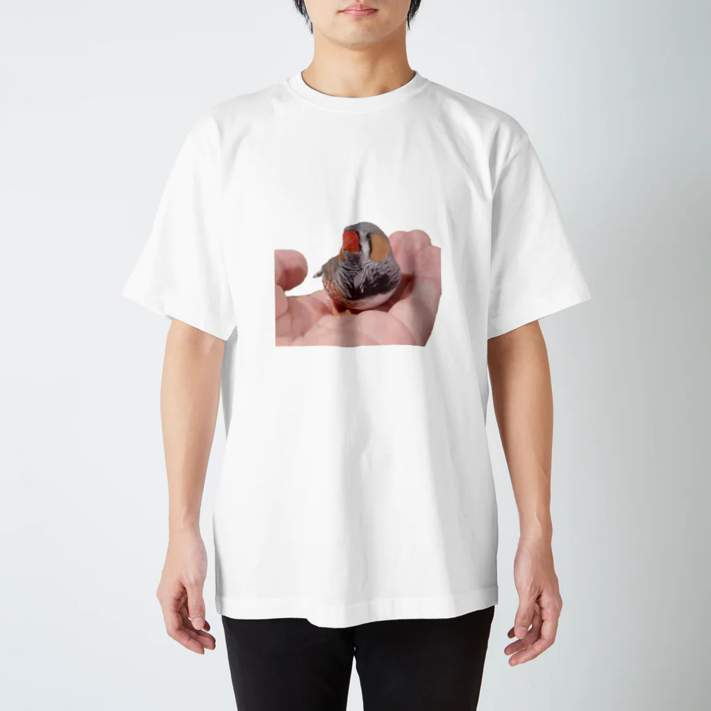 米箸のキンカチョウ Regular Fit T-Shirt