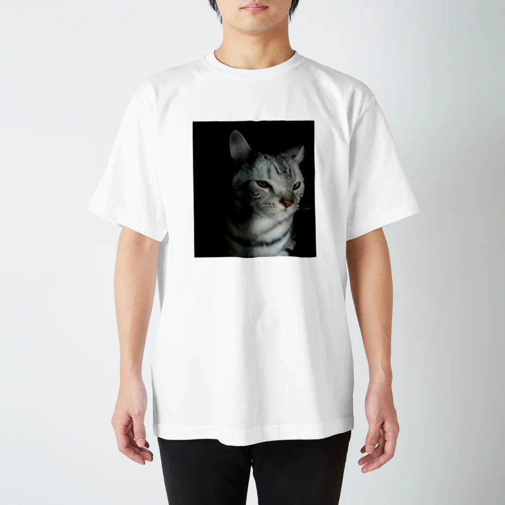 あんな日とか、こんな日とか。のPeter at night スタンダードTシャツ