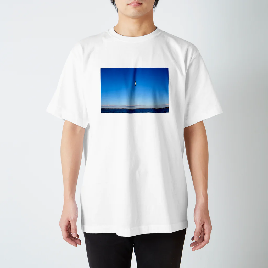 旅先pics📸の松島で飛ぶウミネコ スタンダードTシャツ