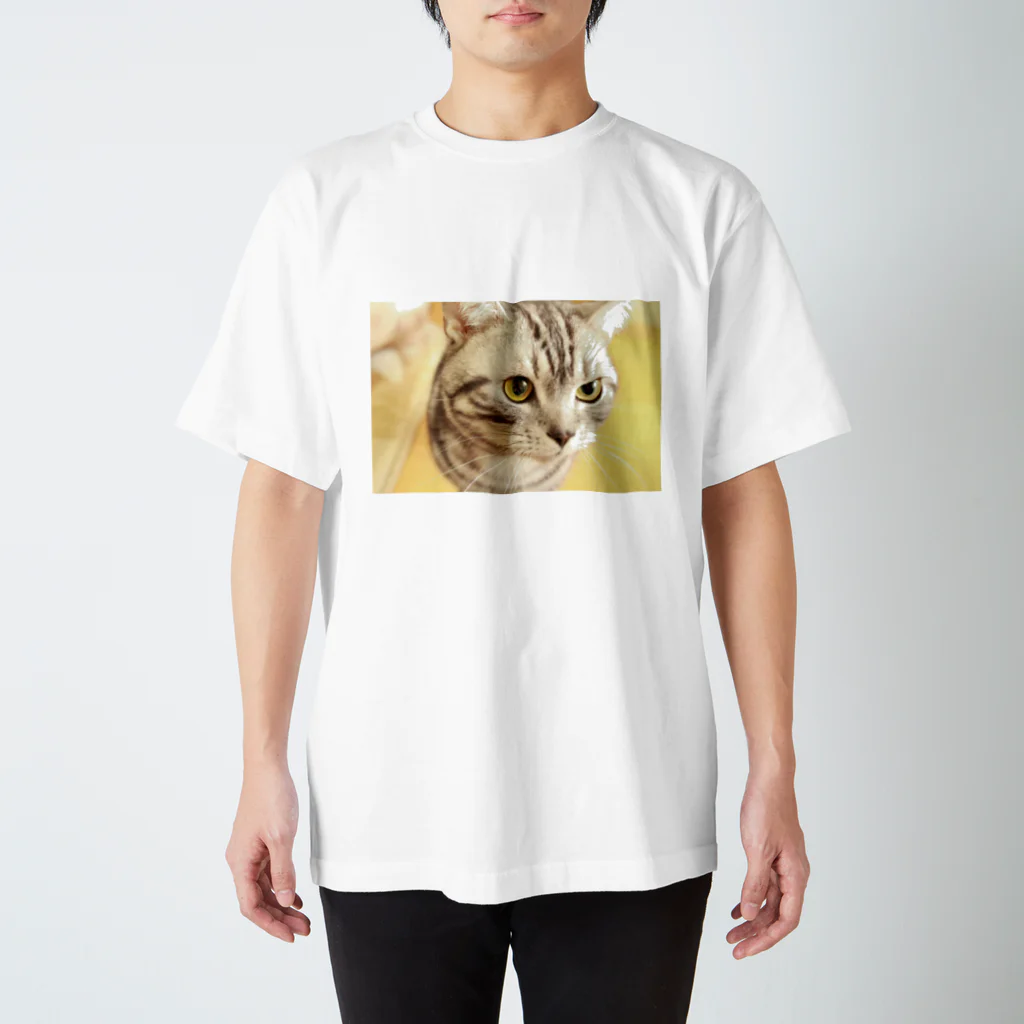 nyan5のきらきらこたちゃん Regular Fit T-Shirt