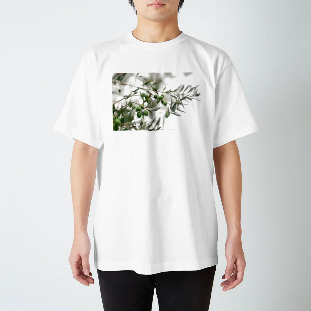 カステラのおりーぶ Regular Fit T-Shirt