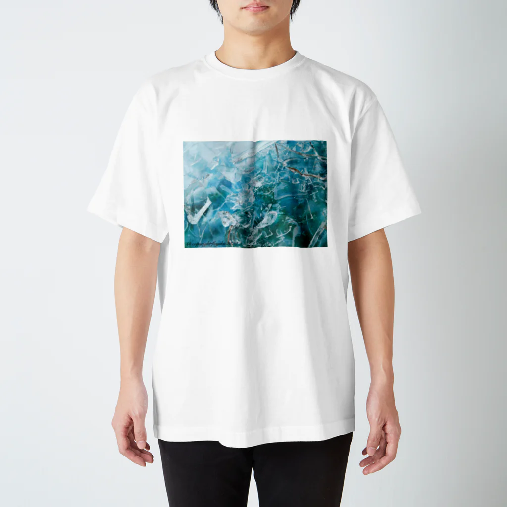 Fuyuka Okinoの流氷さん スタンダードTシャツ