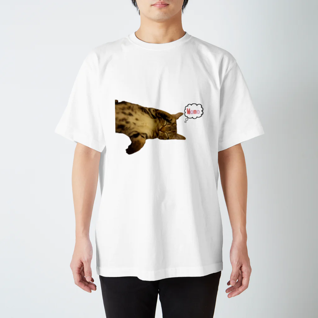 あにろんの猫T Regular Fit T-Shirt