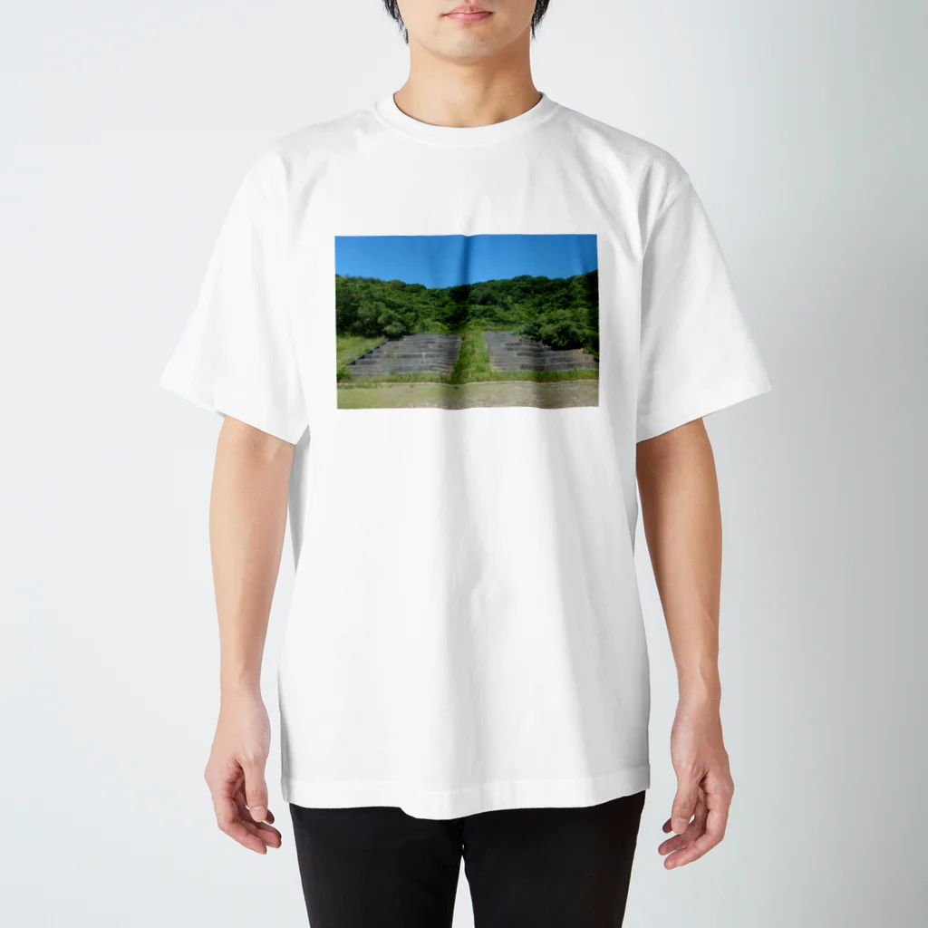 糸田のカラスオ古代遺跡？ スタンダードTシャツ