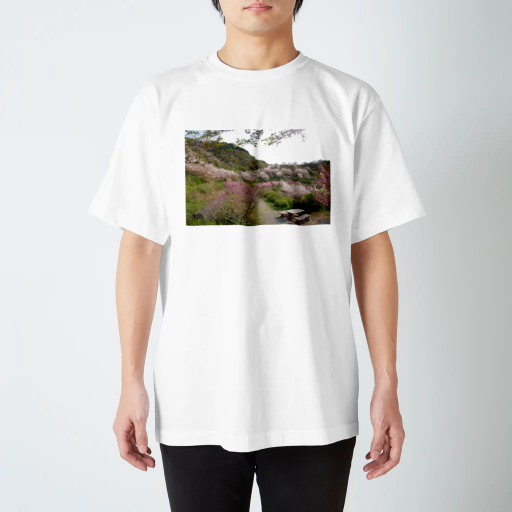 糸田の金山のサクラ スタンダードTシャツ