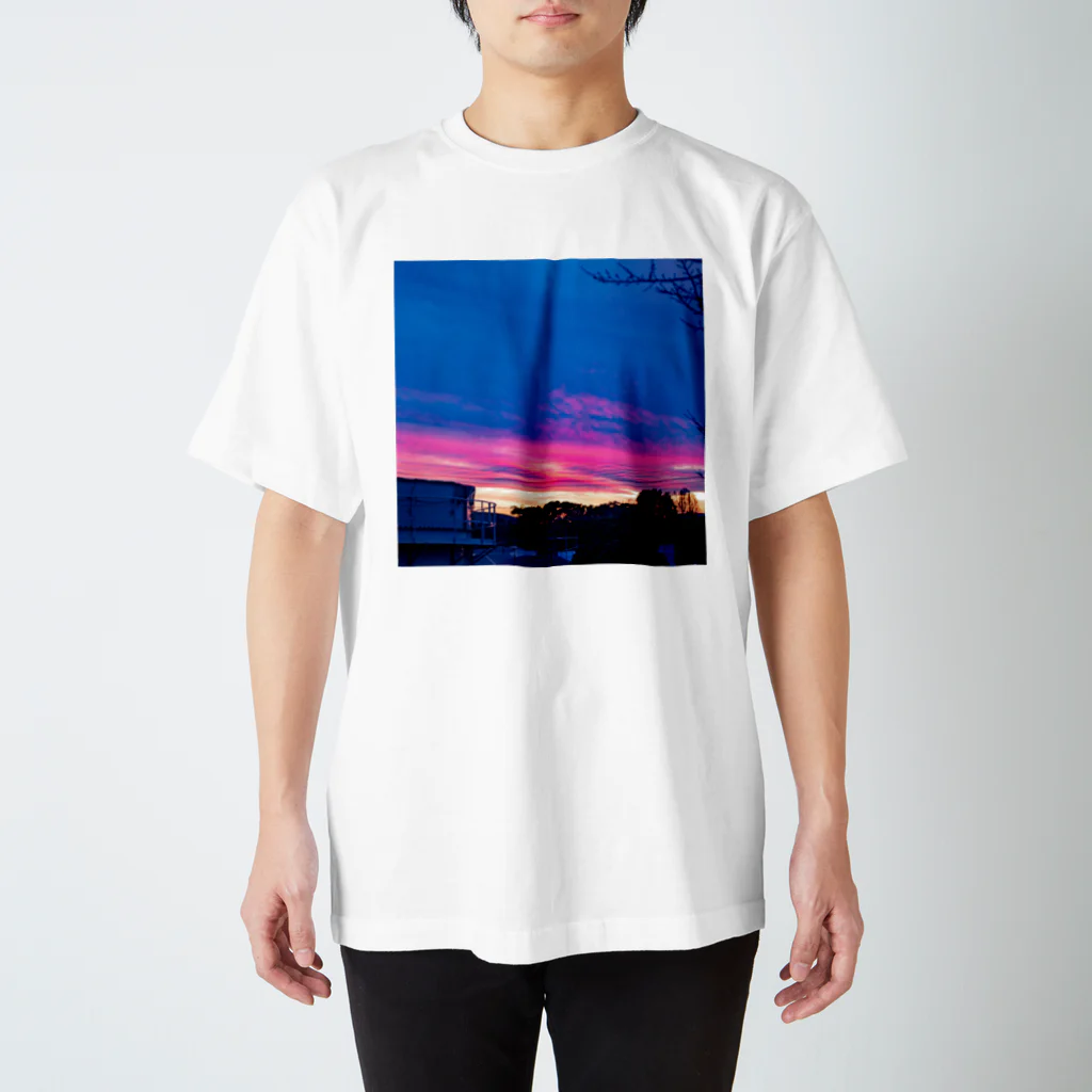 タマムシイロの夕陽 Regular Fit T-Shirt