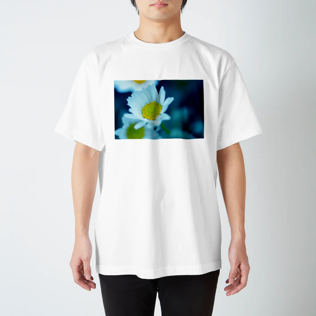 タマムシイロのお花なん スタンダードTシャツ