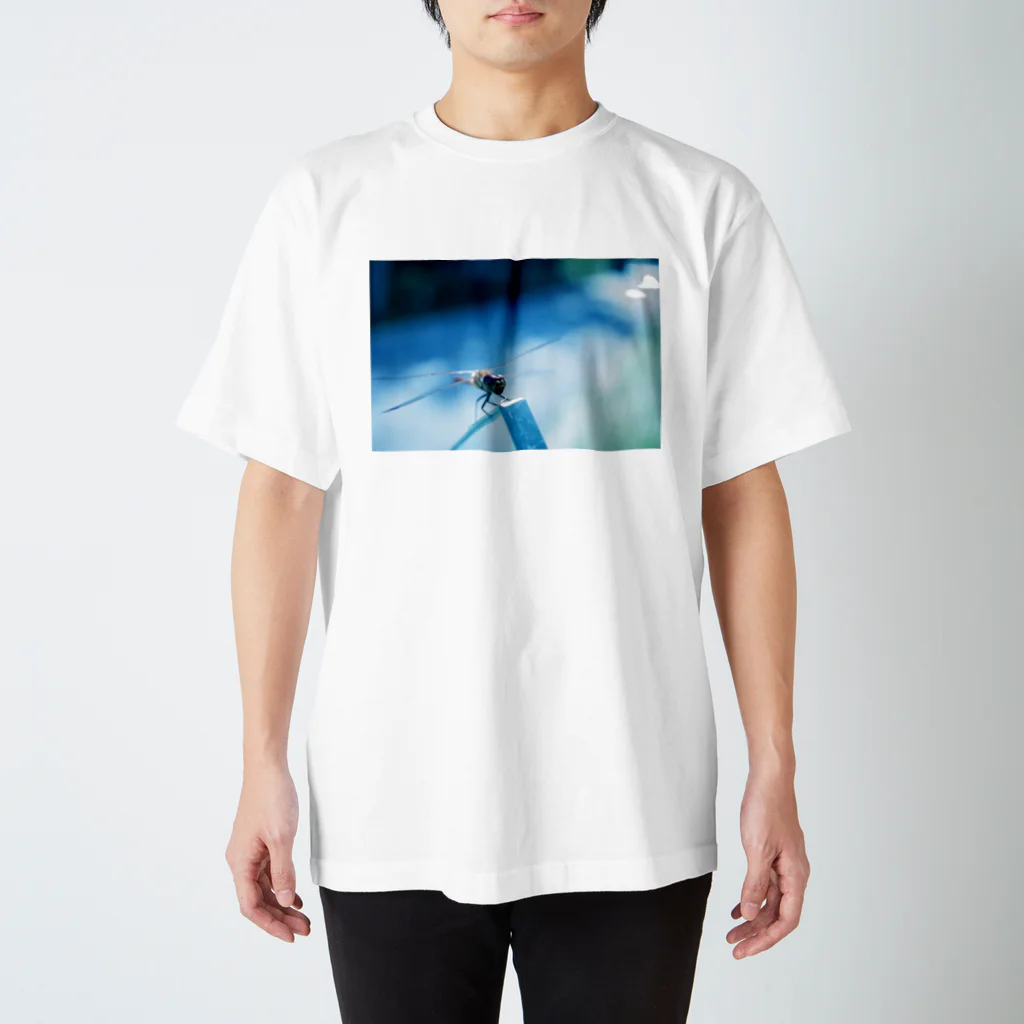 タマムシイロのトンボ Regular Fit T-Shirt