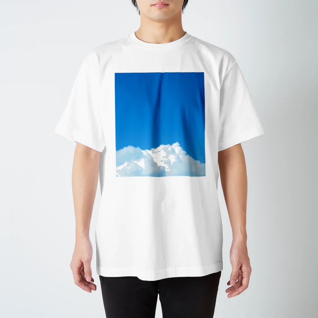 タマムシイロの空空 Regular Fit T-Shirt