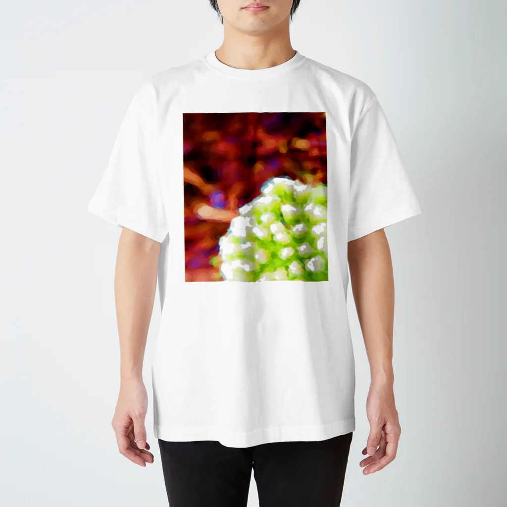 HaveーFun 嘉のHave-Fun Photo Play　なんかの花 スタンダードTシャツ