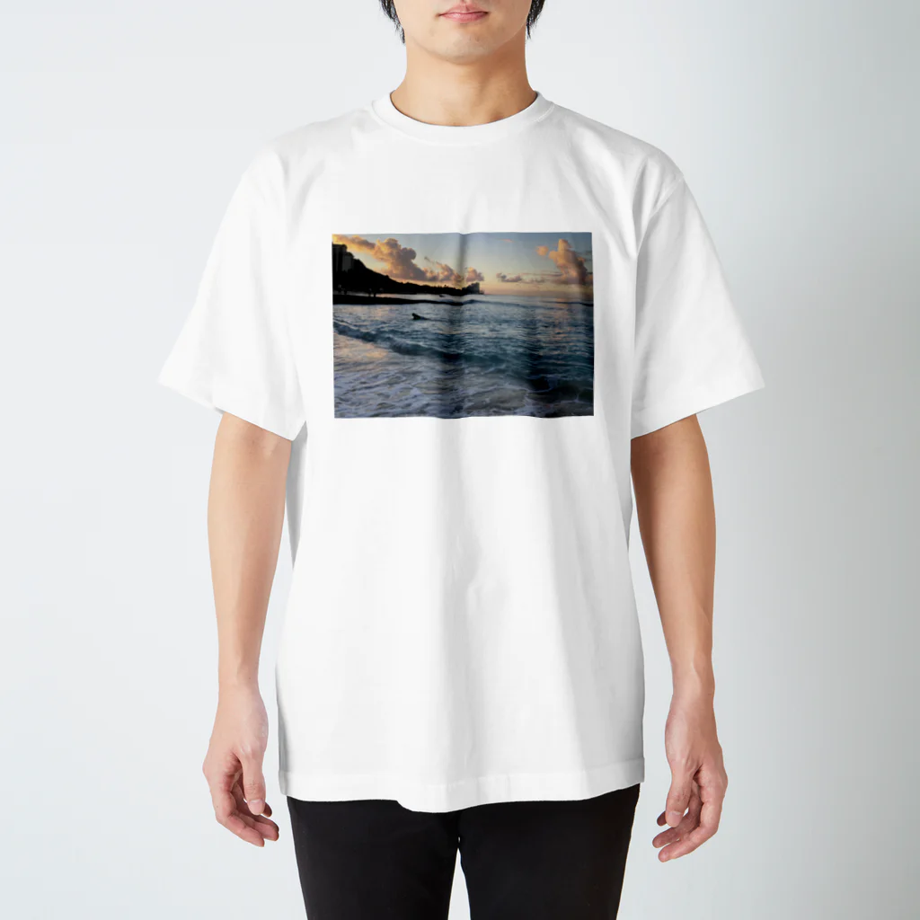 ライフスタイルグッズのHawaiian photograph Regular Fit T-Shirt