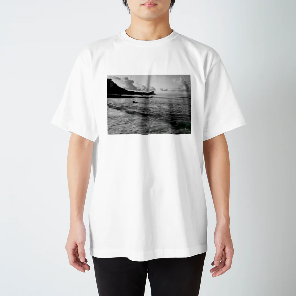 ライフスタイルグッズのHawaiian photograph Regular Fit T-Shirt