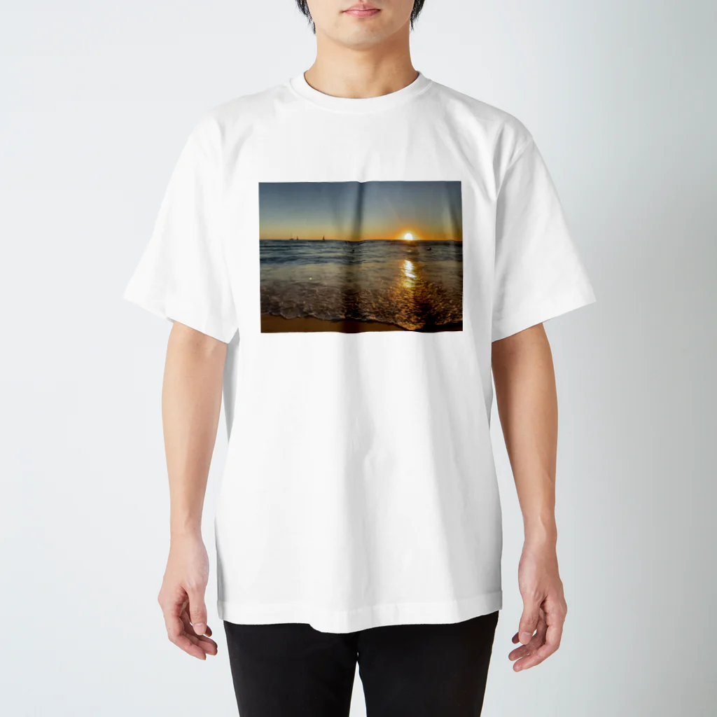 ライフスタイルグッズのHawaiian photograph スタンダードTシャツ