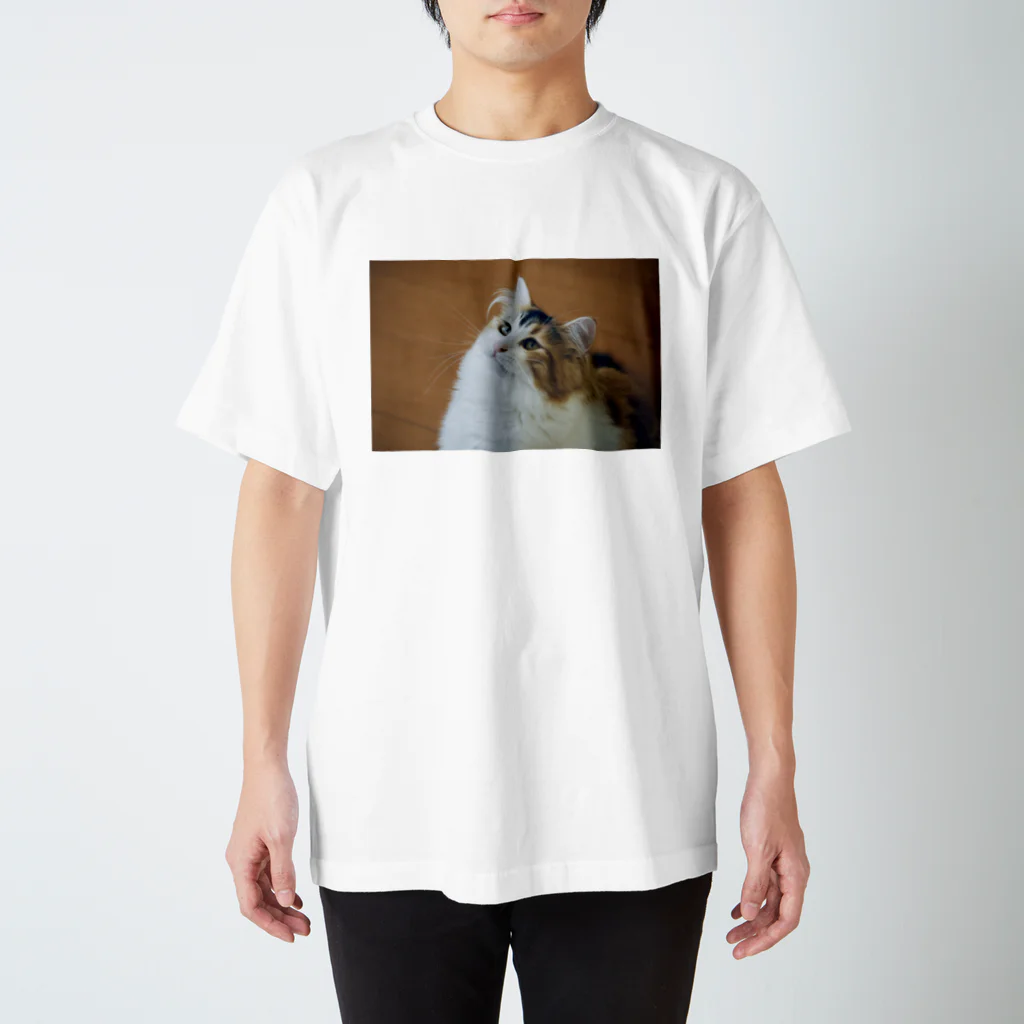 DORAMARUの猫のラムちゃん スタンダードTシャツ