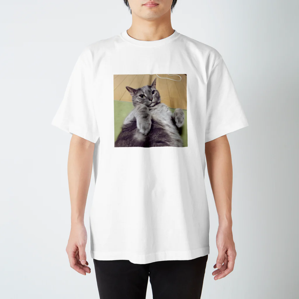 DORAMARUの猫のマルコちゃん スタンダードTシャツ