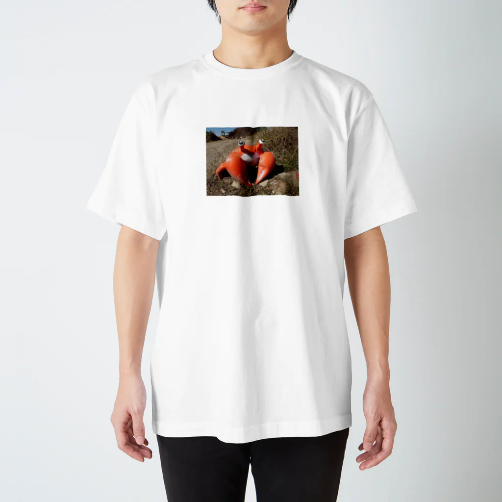 みやしたなつきちの蟹🦀 スタンダードTシャツ