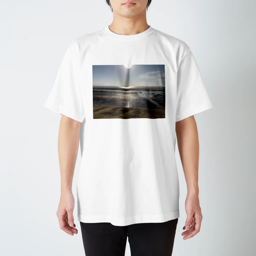 ぽんぽんぴーの映えなかったあの日の海 Regular Fit T-Shirt