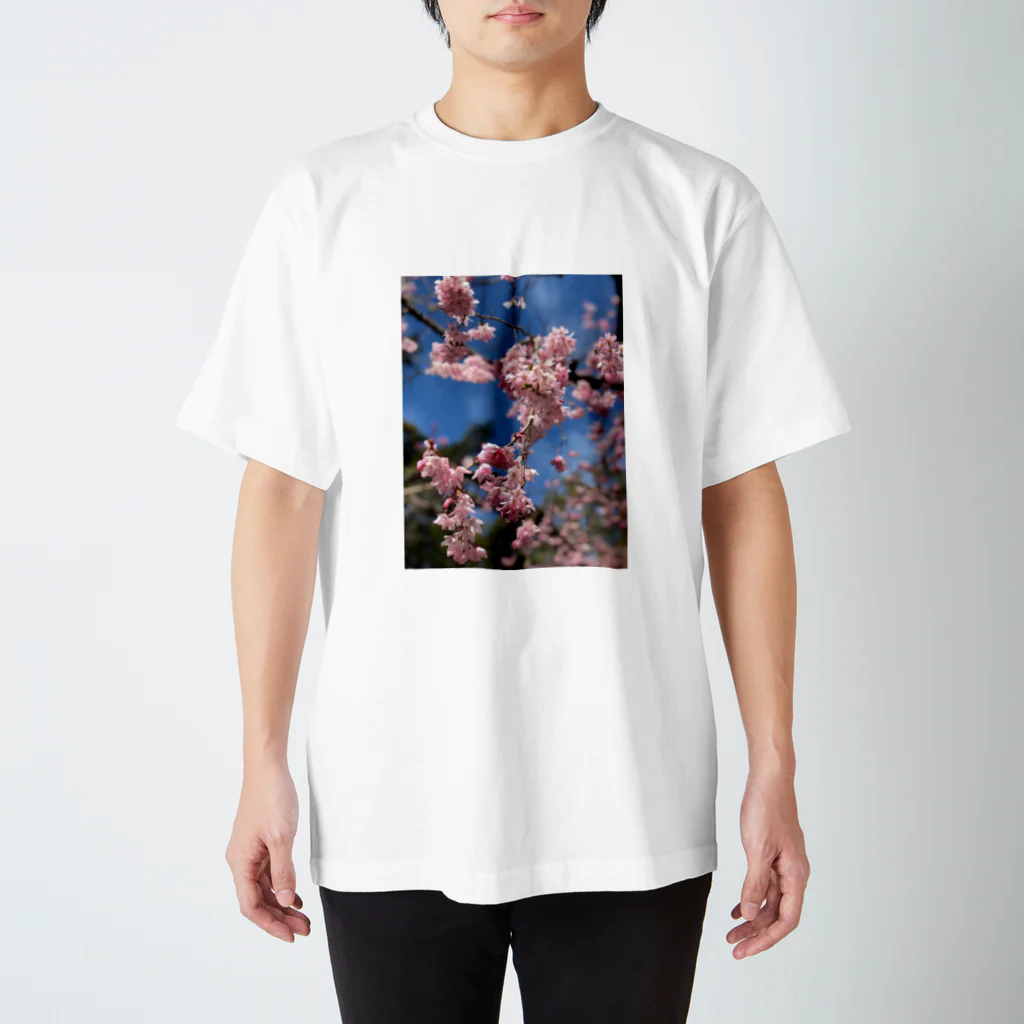 Nyustoreの桃の花 Regular Fit T-Shirt