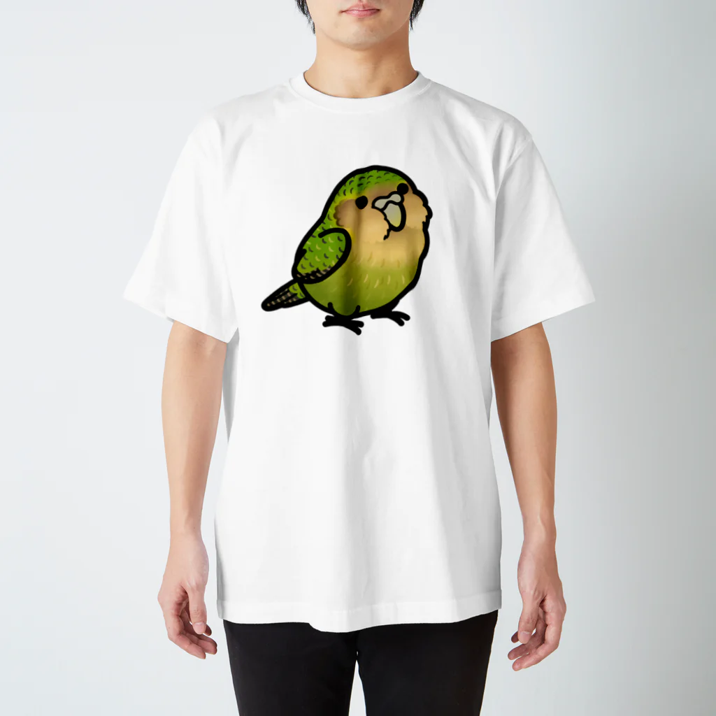 Cody the LovebirdのChubby Bird カカポ スタンダードTシャツ